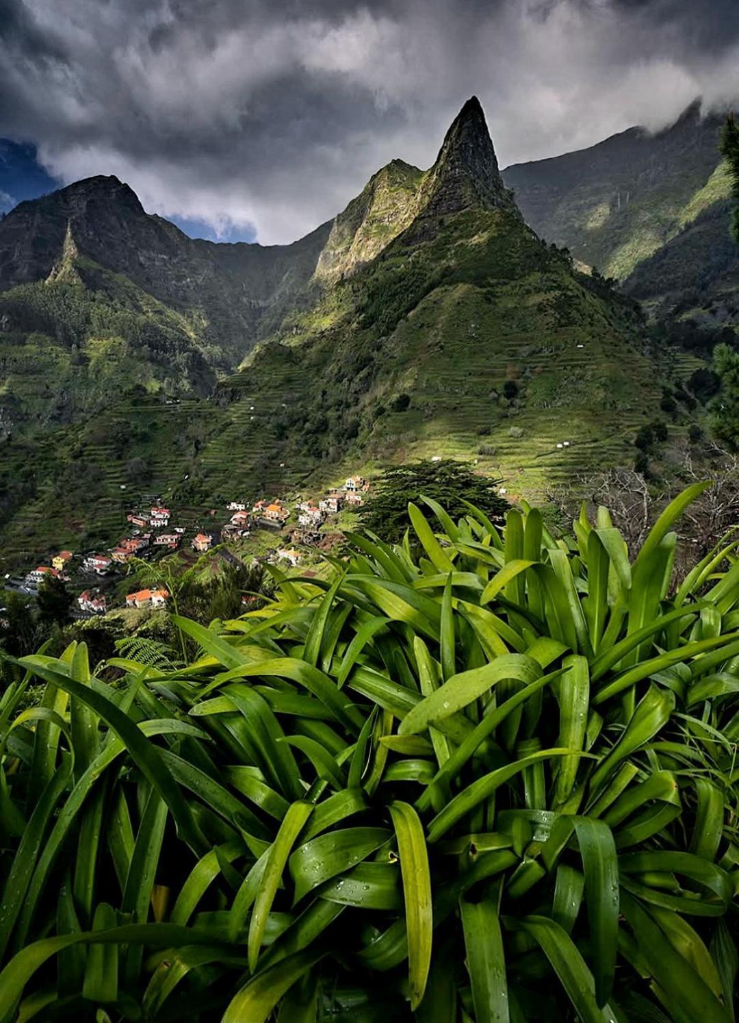 The Artist House Hotel Arco da Calheta  Bilik gambar